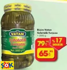 BİZİM VATAN SALATALIK TURŞUSU